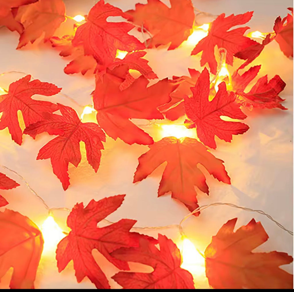 LED Lichterketten Halloween